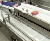 An overview of an automatic packaging machine