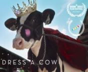 A documentary that spotlights a 38 year tradition, the “Dress A Cow” event at Ohio’s Canfield County Fair. A meditation on bovine beauty, it reminds us that putting pants on a cow is not like putting pants on a person.nnOfficial Selection: SXSW, Nantucket Film Festival, Calgary International Film Festival,Independent Film Festival Boston, Maryland Film Festival, Florida Film Festival, Funcinema, NH Docs, Festival International du Film de La Roche-Sur-Yon, Athens International Film + Vide
