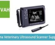 PL-3018V Digital Handheld Ultrasound Scanner and Cattle UltrasoundnnFeatures:n5