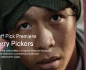 During an exceptionally hot summer in Sweden, a Thai migrant worker has to navigate the forest and his increasingly quarrelsome relationship with his older brother, in order to find the blueberries needed to afford passage home.nnWriter + Director: Agnes Skonare KarlssonnProducer - Mona MaahnnExecutive Producer -Andrea GyllenskiöldnExecutive Producer - Adam HolmströmnExecutive Producer - Joel RostmarknnCast:nNattapong Tongkongnam nSuttipong TongkongnamnRachanon ChaisangnRewadee JakobssonnNut