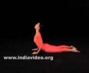 The twelve positions of Suryanamaskar by Isha Sharvani, Yoga from isha sharvani