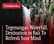 Tegenungan Waterfall is located in Kemenuh Village, about 30-km away from Denpasar City, Bali.&#60;br/&#62;&#60;br/&#62;The waterfall that is hidden behind the thick trees is a stream from the Tukad Petanu River. &#60;br/&#62;&#60;br/&#62;With a height of 15 meters, tourists will see how magnificent is this waterfall. See more in the video.&#60;br/&#62;&#60;br/&#62;#TegenunganWaterfall #WaterfalliInBali #DestinationInBali&#60;br/&#62;&#60;br/&#62;Voice Over / Video Editor: Aulia Hafisa / Praba Mustika&#60;br/&#62;==================================&#60;br/&#62;&#60;br/&#62;Homepage: https://www.suara.com&#60;br/&#62;Facebook Fan Page: https://www.facebook.com/suaradotcom&#60;br/&#62;Instagram:https://www.instagram.com/suaradotcom/&#60;br/&#62;Twitter:https://twitter.com/suaradotcom