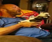 This man was howling while holding the baby husky in his hands. They copied him while howling adorably.