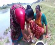 Village Womens Fishing Videos _ Amazing Net Fishing by Womens on River