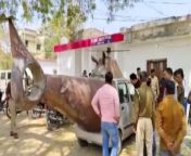 In India, Ishwar Deen&#39;s dream of transforming a second-hand car into a helicopter came crashing down after local police seized his creation for lacking proper permits. Buzz60’s Maria Mercedes Galuppo has the story.