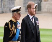 Prince Harry believes his father King Charles&#39; cancer diagnosis could &#92;