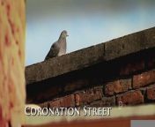 Coronation Street 8th March 2024 - video Dailymotion