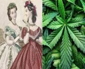 For centuries, marijuana has been used in a whole host of different cultures. But what you may not know is that its modern scientific foundations began in the 19th century, just before its worldwide demonization started taking root.