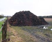 Huge mountain of horse manure sits in a field off Telegraph Lane, Bridgnorth, ready for the Much Wenlock Young Farmers muck lug event.