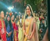 Radhika Anant Pre wedding celebrations