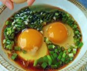 Chinese Cuisine Steamed Eggs with Scallion Fragrance from 田中聖