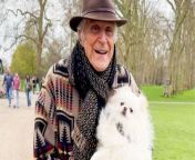 87-year old man pampers his princess dog and carries her through town when she refuses to walk