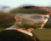 ZAYN - If I told you I love you, would you say that it's fucked up? from real man fuck a and my