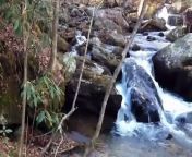 Carl David Ceder shares a video from Anna Ruby Falls, GA. This part is beneath the actual falls but is still a sight to see. The whole area of northern Georgia is surrounded by much beautiful scenery and is very peaceful.&#60;br/&#62;
