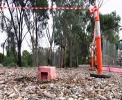 Victoria&#39;s environment protection authority has ordered a council in Melbourne&#39;s west to hand over its records and test more parks for contaminated mulch, after another potential asbestos site was found. Authorities took samples from a dog park in Altona North for priority testing, prompting fears more affected sites have yet to be discovered.
