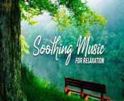 Soothing Music for Relaxation ~ Chill-Out Calming music&#60;br/&#62;&#60;br/&#62;#bluepebblesmusic #relaxingmusic #music #meditationmusic #relax #meditation #relaxing #chillmusic &#60;br/&#62;&#60;br/&#62; Track information:&#60;br/&#62;Title: Soothing Music for Relaxation&#60;br/&#62;Composer/Music: Surinder Thakur &amp; Baljeet Chahal&#60;br/&#62;Lable: Ambey &#60;br/&#62;ARMS-146-8/RMS-22/NA&#60;br/&#62;&#60;br/&#62;Start your day with &#92;