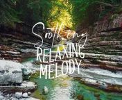 Gentle Relaxation Music - Relaxing Tunes for Stress Relief, Meditation, Massage Therapy from kerala massage