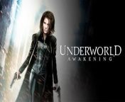Underworld: Awakening is a 2012 American action horror film directed by Måns Mårlind and Björn Stein from a screenplay by Len Wiseman, John Hlavin, J. Michael Straczynski, and Allison Burnett, based on a story by Wiseman and Hlavin. It is the direct sequel to Underworld: Evolution (2006) and the fourth installment in the Underworld film series. The film stars Kate Beckinsale, Stephen Rea, Michael Ealy, Theo James, India Eisley, and Charles Dance.