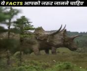 जानवरो के बारे में ये Facts जरूर जानने चाहिए &#60;br/&#62;.&#60;br/&#62;.&#60;br/&#62;.&#60;br/&#62;Crazy Animal Facts&#60;br/&#62;Amazing Facts&#60;br/&#62;Random Facts&#60;br/&#62;Mind-Blowing Facts in Hindi&#60;br/&#62;Hey Facts Hindi&#60;br/&#62;Wild Facts About Animals&#60;br/&#62;&#60;br/&#62;&#60;br/&#62;विडियो देखने के लिए आपका धन्यवाद !&#60;br/&#62;Thanks for watching!&#60;br/&#62;#shorts #heyfacts #facts #new #knowledge #education #trending #viral #funny #latest #top #amazing #fact