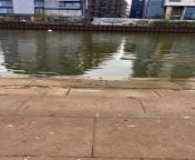 Sajid Bhatti captured this video of a seal that had ventured into Peterborough city centre.