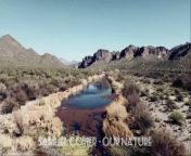 Samuel Copier - Our Nature (Country | Instrumental | Ambient | Relaxing music) from rashi our