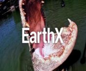EarthX Website: https://earthxmedia.com/ &#60;br/&#62;&#60;br/&#62;Exit lap dogs and enter...lap gators?&#60;br/&#62;&#60;br/&#62;About Texas Gator Savers: &#60;br/&#62;From reptiles in swimming pools to gators stranded after hurricanes, Gary Saurage and his team rescue alligators from unusual places and prepare them for life in their new home - &#92;