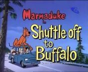 Heathcliff And Marmaduke - Shuttle Off To Buffalo - Crazy Daze - Missy Mistique ExtremlymTorrents from daze xx movie