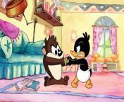 Baby Looney Tunes - School Daze Mary Had a Baby Duck Things That Go Bugs in The Night (in 169 and 1080p) from daze voda
