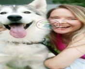 #shorts Things You Must Never Do to Your Siberian Husky&#60;br/&#62;If you&#39;re thinking of bringing a new puppy home, be sure to read this first! This list of Things You Should NEVER Do To A Siberian Husky will help you avoid some common mistakes that new puppy owners make.&#60;br/&#62;------------&#60;br/&#62;To learn more&#60;br/&#62;https://www.petsbirds1.com/2023/10/dogs-husky-never-do-to-it.html&#60;br/&#62;&#60;br/&#62;To buy the products&#60;br/&#62;https://sites.google.com/view/siberian-husky-care/home&#60;br/&#62;&#60;br/&#62;To support our channel on PayPal&#60;br/&#62;https://www.paypal.com/paypalme/amirahamdon442&#60;br/&#62;-------------&#60;br/&#62;Follow us&#60;br/&#62;Website&#60;br/&#62;Facebook&#60;br/&#62;https://www.facebook.com/pets.birds2&#60;br/&#62;https://www.facebook.com/groups/pets.birds&#60;br/&#62;Instagram&#60;br/&#62;https://www.instagram.com/pets.birds1&#60;br/&#62;Pinterest&#60;br/&#62;https://www.pinterest.com/pets_birds1&#60;br/&#62;Tumblr&#60;br/&#62;https://www.tumblr.com/pets-birds&#60;br/&#62;Twitter&#60;br/&#62;https://twitter.com/pets_birds1&#60;br/&#62;TikTok&#60;br/&#62;https://www.tiktok.com/@pets_birds&#60;br/&#62;Snapchat&#60;br/&#62;https://www.snapchat.com/add/pets.birds&#60;br/&#62;Kwai&#60;br/&#62;https://k.kwai.com/u/@pets.birds/Y0CclhC0&#60;br/&#62;Quora&#60;br/&#62;https://petsandbirdssspace.quora.com&#60;br/&#62;Likee&#60;br/&#62;https://l.likee.video/p/wJDhVu&#60;br/&#62;-------------&#60;br/&#62;If you&#39;re thinking of bringing a new puppy home, be sure to read this first! This list of Things You Should NEVER Do To A Siberian Husky will help you avoid some common mistakes that new puppy owners make.&#60;br/&#62;&#60;br/&#62;By following these tips, you&#39;ll be able to bring home a happy and healthy puppy without any problems! Do yourself a favor and read this guide before you adopt a new puppy!&#60;br/&#62;&#60;br/&#62;In this video, we&#39;re going to be talking about some of the things you should never do to a Siberian Husky. If you&#39;re thinking about bringing a Siberian Husky home, make sure you watch this video first to get a better understanding of how to care for your new furry friend!&#60;br/&#62;&#60;br/&#62;We&#39;ll cover topics like taking your Siberian Husky to the vet, housetraining, feeding your Siberian Husky, and more. If you&#39;re looking to bring a Siberian Husky home, make sure you watch this video first!&#60;br/&#62;&#60;br/&#62;Bringing a Siberian Husky home is one of the most exciting things you&#39;ll ever do, but there are a few things you should never do to a Siberian Husky if you want to keep them healthy and happy. In this video, we&#39;re going to cover the top 10 things you should NEVER do to a Siberian Husky, so you can bring home a pup that loves you!&#60;br/&#62;------------&#60;br/&#62;#pets_birds #husky_puppies #husky #petsbieds#siberian_husky #dog_husky_dog #siberianhusky #doghuskydog #husky_husky_dog #huskyhuskydog #huskysiberianhusky #husk_siberian_husky #huskydog #husky_dog #huskypuppies #husky_puppies #huskydogpuppy #husky_dog_puppy #huskydogs #husky_dogs #dog #dogs #pet #pets #dogcare #dog_care #dogscare #dogs_care #huskycare #husky_care #petcare #pet_care #petscare #pets_care #attention #takecareofyourdog #take_care_of_your_dog #caringforyourdog #caring_for_your_dog #huskydogcare #husky_dog_care #takecareofyourhusky #take_care_of_your_husky #caringforyourhusky #caring_for_your_husky #don&#39;t #don&#39;tdothis #don&#39;t_do_this #don&#39;tdothiswithhuskies #don&#39;t_do_this_with_huskies #don&#39;tdothistoyourhusky #don&#39;t_do_this_to_your_