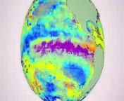 The warming El Nino weather phenomenon that peaked in December was one of the five strongest ever recorded, according to the United Nations. Videographic on the El Niño and La Niña climatic phenomena. VIDEOGRAPHIC