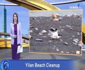 People on Taiwan’s northeast coast are picking up trash on the beaches just in time for the seabird breeding season. Seabirds lay their eggs on Yilan’s beaches between May and August.