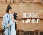 Blossoms in Adversity - Episode 34 (EngSub)