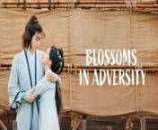 Blossoms in Adversity - Episode 36 (EngSub)