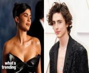 Fans of Timotheé Chalamet and Kylie Jenner are freaking out, because there’s a new rumor going around that Jenner may be expecting.