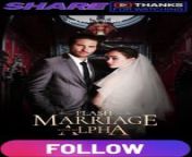 Flash Marriage With My Alpha Part 1 from ome tv dick flash