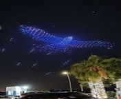 Drone show in Abu Dhabi - giant falcon from giants boobs cartoons