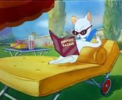 Tom And Jerry - 023 - Springtime For Thomas (1946) S1940e23