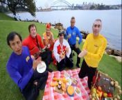 The Wiggles Surfer Jeff 2012...mp4 from tannerman92 mp4