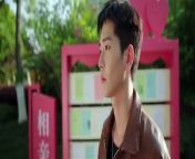 Step by Step Love (2024) Episode 10 English sub