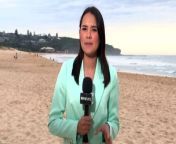 New South Wales authorities are investigating five suspicious packages believed to contain cocaine that washed ashore on Sydney&#39;s northern beaches. Reporter Jessica Rendall has the details.