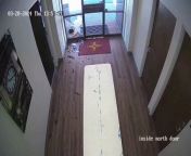 CCTV footage shows the moment a confused deer smashed through the window of a bank. In the video, the deer can be seen running towards a window at the bank before smashing through it as shards of glass scatter across the room.&#60;br/&#62;