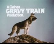 1860s Gravy Train dog rescues man from dynamite TV commercial