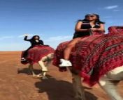 Abu Dubai UAE Desert Safari Offers Dune buggy quad bike Rental Camel ride and sand boarding rental desert safari package Al Qudra Tours&#60;br/&#62;#desertsafarioffers #dubaideserttour #sandboarding #quadbikedubai #camelridedubai&#60;br/&#62;