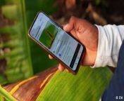 An app developed by a German startup to treat plant diseases advises millions of Indian farmers. But why are they entrusting their crops to an algorithm? And who benefits the most: India&#39;s tech industry or the farmers?