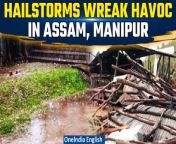 Rain and hail storms hit several parts of Manipur causing damage to houses, buildings and crops in Thoubal&#39;s Sapam Leikai and Khongjom villages. Watch here &#60;br/&#62; &#60;br/&#62; &#60;br/&#62;#Hailstorm #ManipurWeather #AssamWeather #HeavyRain #CropDamage #NaturalDisaster #WeatherAlert #MonsoonSeason #ExtremeWeather #DisasterRelief&#60;br/&#62;~HT.97~PR.152~ED.194~