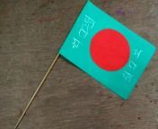 How to make National flag in Bangladesh from bangladesh dhaka school girl 3x
