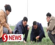 As China advances rural revitalization, an increasing number of young people are returning from cities to the countryside, often helping to transform the farming landscape.&#60;br/&#62;&#60;br/&#62;WATCH MORE: https://thestartv.com/c/news&#60;br/&#62;SUBSCRIBE: https://cutt.ly/TheStar&#60;br/&#62;LIKE: https://fb.com/TheStarOnline