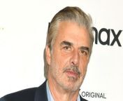 Chris Noth has been fired from his TV show &#39;The Equalizer&#39; after he was accused of sexual assault.