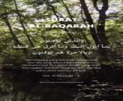 Al-Baqara, alternatively transliterated Al-Baqarah (Arabic: الْبَقَرَة, ’al-baqarah; lit. &#92;