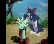 Tom and Jerry Best of Little Quacker Classic Cartoon Compilation from aunt gas big hero